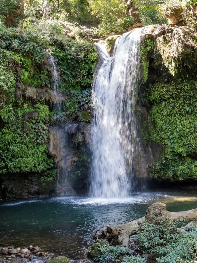 A budget-friendly package for solo travelers or seeking affordability. Enjoy basic amenities, shared safari options, and travel assistance for a hassle-free Jim Corbett adventure.